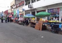 Fruteros recibirán carros nuevos para desplazarse