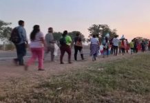 Es ley la prórroga para suspender por un año los desalojos sobre las tierras de familias rurales y pequeños productores rurales