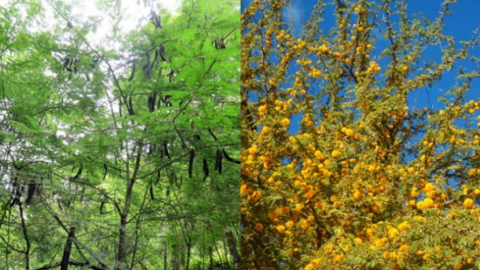 Foto-destacadas-Lopez-Arnal-Aranda-1-768x432