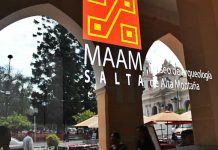 El MAAM cerrará temporalmente por mantenimiento de vitrinas