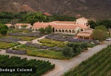 El vino de altura conquista al mundo: Colomé representa a Salta entre los grandes destinos enoturísticos