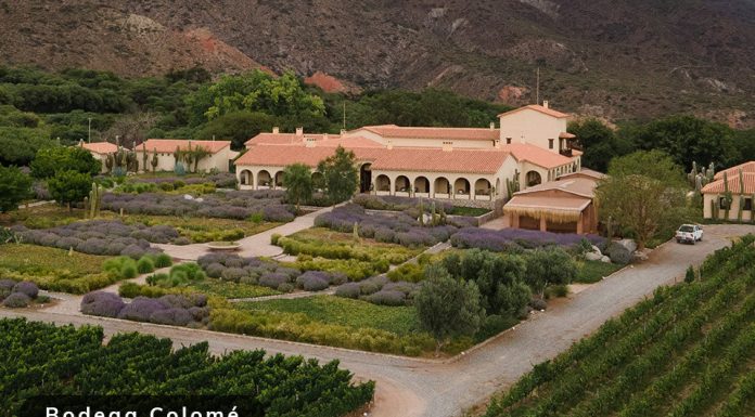 El vino de altura conquista al mundo: Colomé representa a Salta entre los grandes destinos enoturísticos