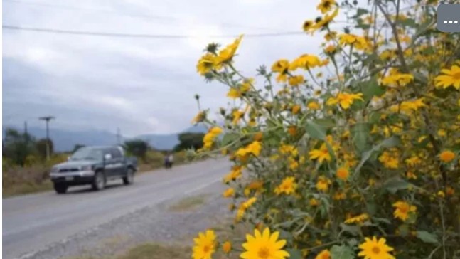 Manejo integrado de Pasto Cubano: capacitaron a personal de mantenimiento de rutas y vías férreas