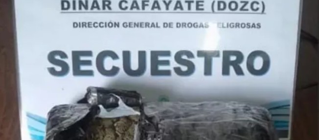 La Policía detuvo a una mujer con más de 2300 dosis de droga en Cafayate