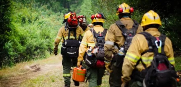 La Brigada Forestal de Salta extiende su trabajo en el Parque Nacional Los Alerces