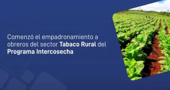 Screenshot_20260223-133639 (1)