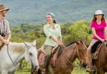 Salta recibió más de 650 mil visitantes y generó un impacto de $402.735 millones