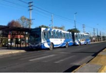SAETA: servicio de colectivos en los feriados del 15 y 17 de junio