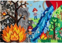 Orgullo provincial: tres escuelas salteñas ganan un concurso para prevenir incendios en el NOA