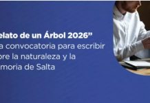“Relato de un Árbol 2026”: una convocatoria para escribir sobre la naturaleza y la memoria de Salta