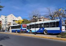 Servicio de colectivos para el feriado de hoy